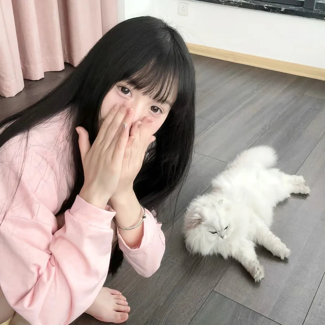 泡芙小姐第一季